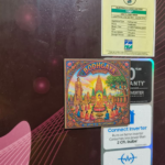 Brand Bihar The Land of Enlightenment Bodhgaya Fridge Magnets